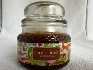 Gold Canyon Candle Medium Size 8 Oz NEW Gingerbread House Scented New Rare - Picture 1 of 5