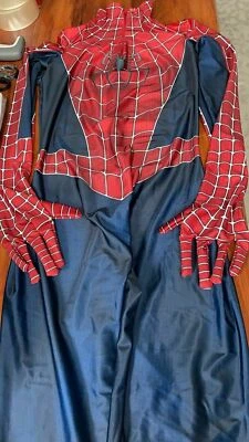 Raimi Spiderman Costume 3D Print Spandex Superhero Cosplay Adult & Kid Suit Hot - Image 1 of 4