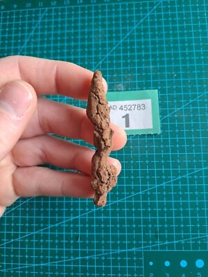 Fossil Dino Poo - Coprolite Fossil - Turtle Coprolite - Madagascar - Image 1 of 4