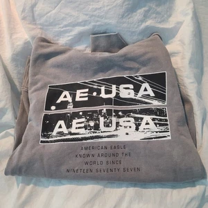 Sudadera con capucha gris American Eagle para adultos - talla S 100 % algodón  - Imagen 1 de 9