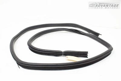 Hummer H2 2003-2009 carrocería del lado del pasajero delantero puerta sello resistente al clima OEM Foto 1 de 3