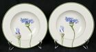 [Set of 2] Villeroy & Boch “Flora” Large Rim Soup Bowl Cornflower 9 3/8" diamete