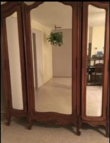 1800’s Solid Wood Antique French Armoire Cover