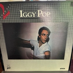 Rare Pair Records Iggy Pop 2 Record Set NM/NM- Play Tested - Picture 1 of 3