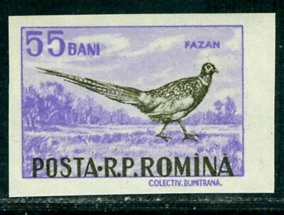 Faisán 1956, Phasianus colchicus, caza, animales salvajes, Rumania, 1619, IMPERF., MNH Foto 1 de 2