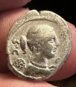 T Carisius 46BC Silber Denar Sieg in Quadriga 20mm 3,76g - Bild 1 von 4