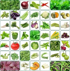 2x Aero Seebs 45 Variety (3500+ seebs) Of Vegetable Seebs ,, - Picture 1 of 2
