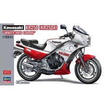 Hasegawa 1/12 Kawasaki KR250 (KR250A) #21745