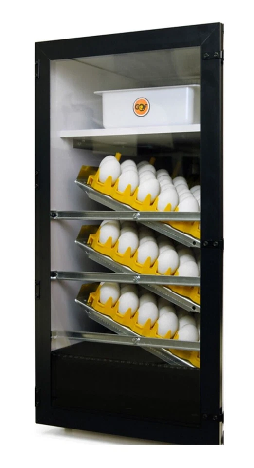 NUEVO GQF 3065R - Puerta Transparente para Incubadoras de Gabinete 1550 1502 1202E Modelos Foto 1 de 1