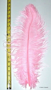Straußenfedern Bonbonrosa 20-24 Zoll Länge 6-7 Zoll breit Preis gilt pro Feder - Bild 1 von 1