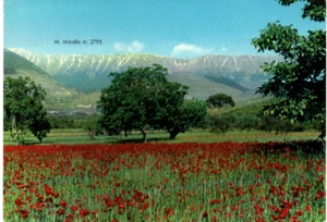 ab 43 1969 SULMONA (L'Aquila)Monte Maiella - VG - Ed. Marzari Schio - Foto 1 di 1