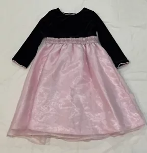Jona Michelle Little Girl's Long Sleeve Velvet & Pink Fanciful Dress-Size-5 - Picture 1 of 5