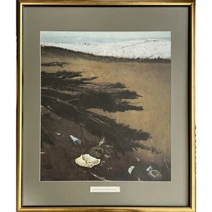 Vintage Andrew Wyeth’s “Raven’s Grove” Pigment Print, Framed (1985) - Picture 1 of 6