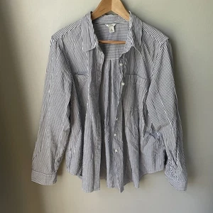 L.L Bean Womens Long Sleeve Button Down Cotton Navy Blue Striped Sz XL Petite - Picture 1 of 10