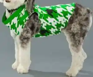 NEW Christian Sirano DOG coat size SMALL S Greenies Promo item Houndstooth Green - Picture 1 of 4