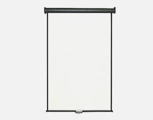 Retractable White Photo ID Backdrop for Passport Photos (Wall/Ceiling) - Picture 1 of 6