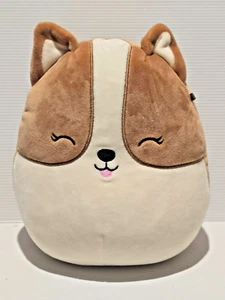Squishmallows REGINA the CORGI Dog 8” Kelly Toy - Bild 1 von 11