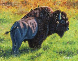 ORIGINAL ÖLGEMÄLDE, AMERICAN BUFFALO BISON WILDLIFE, gelisteter Künstler NR! - Bild 1 von 1