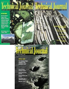 3 issues Creation Ex Nihilo Technical Journal  Vol 10 #1-3 1996 Andrew Snelling - Picture 1 of 4