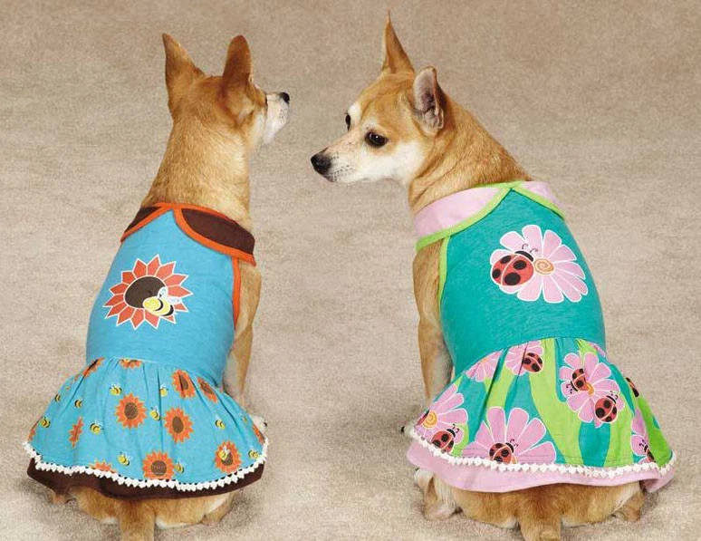 Flutter Bugs Vestido para Perros Vestidos para Mascotas Dama Bug Bumble Bee Zack & Zoey  Foto 1 de 1