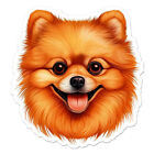 Pomeranian Pom Dog Sticker