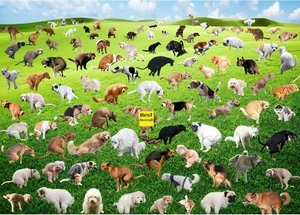 1000 Pieces Puzzles for Adults, Pooping Puppies Puzzle, Dogs Jigsaw Puzzles...  - Picture 1 of 7