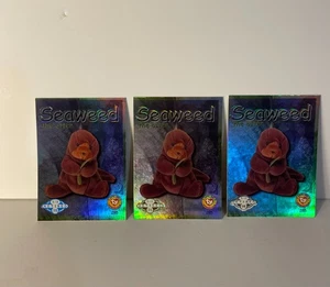 TY Beanie Baby TRADING CARDS - Series 2 - Retired SEAWEED - Blue, Green, Silver - Picture 1 of 2
