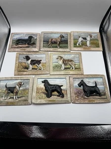 Vintage Edwin Megargee Dog Plaques Set of 8 Ken-L-Ration Ads 1950s Breeds - Picture 1 of 16