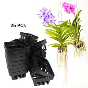25 Pcs Orchid Pot Mesh Basket Black Plastic Square Vanda Hanging Gardening Décor - Picture 1 of 19
