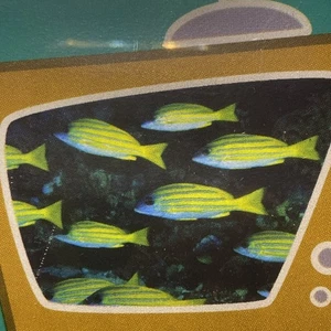 New Old Stock Sealed “Amazing Instant Aquarium” VHS 2000 Lagoon - Bild 1 von 9