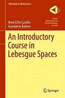 An Introductory Course in Lebesgue Spaces by Rene Erlin Castillo (English) Hardc