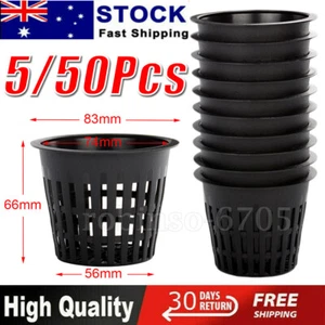 3inch Heavy Duty Mesh Pot Net Cup Basket Hydroponic Aeroponic Plant Grow Clone - Picture 1 of 9