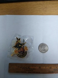 Hard Rock Cafe 1999 San Francisco Logo with Witch on Broomstick Pin # 8458 - Bild 1 von 3
