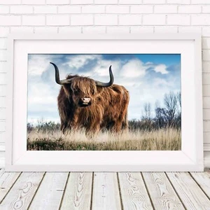 HIGHLAND COW - Animal Poster Picture Print Sizes A5 to A0 **FREE DELIVERY** - Picture 1 of 14