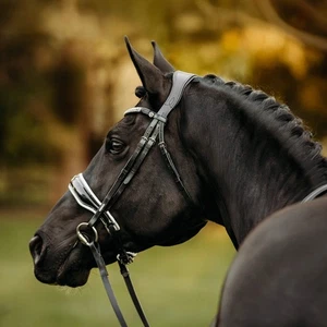 'Adeline' Leather Bridle (Cavesson) - Foto 1 di 12
