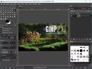 GIMP Portable 2024 on 4gb USB stick Photo Editing Software Graphic design - Picture 1 of 6