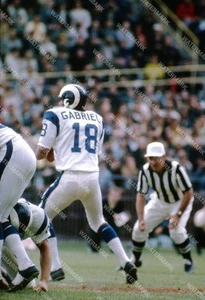 GV515 Roman Gabriel Rams 8x10 11x14 16x20 Photo - Picture 1 of 1