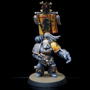 Pro Painted Warhammer 40k Space Wolves Space Marine - Picture 1 of 5