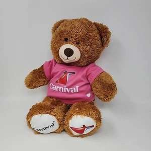 Build A Bear Braunbär rosa Shirt Carnival Cruise Plüsch 2023 16 Zoll - Bild 1 von 7
