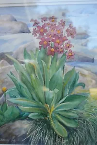 Original Watercolor Riverside blooming plant Floral Flowers 14.5x18 metal frame - Picture 1 of 5
