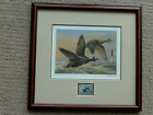 1996 Rw63 Framed Federal Duck Stamp Print Signed Wilhelm Gobble Surf Scoters