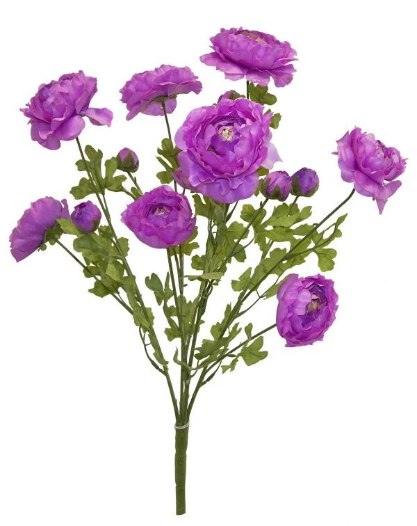 Ranunculus Bush 5 tallos 22 pulgadas lavanda Foto 1 de 1