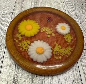 Vintage Lucite Acrylic Daisies & Ladybug Round Trivet- Gamut Designs 4.5" Retro - Picture 1 of 7