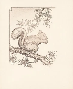 Original Etching "Squirrel with Acorn" by Richardson Rome - Picture 1 of 2