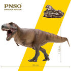 PNSO 1/35 Tyrannosaurus Rex Cameron modèle animal dinosaure décor collection