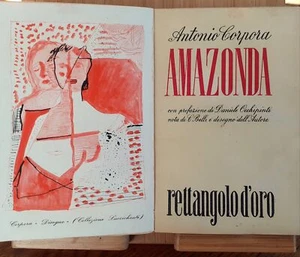 Amazonda - Foto 1 di 1