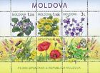 2009+Moldova+Meadow+Flowers+MNH