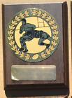 Rugby League Soccer Netball  Afl Athletics Darts Equestrian Go Kart Plaque Award