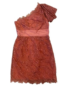 Jessica Simpson One shoulder embroidered lace cocktail dress sz 6 NWOT - Picture 1 of 11