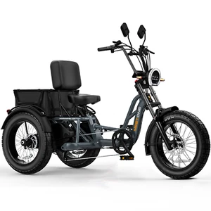 Tour Lite 1200W Electric Tricycle for Adult 48V 20AH LG Battery Fat Tire 3 Wheel - Picture 1 of 9